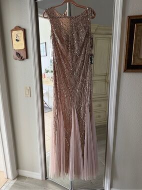 Adrianna Papell Blush Pink Beaded Evening Dress Tag